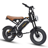 16" Fat Tyre Electric Bike for Adults, 48V 13.5Ah Removable Battery, 250W Motor, Dual Suspension E-Bike with LCD Display