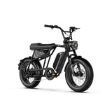 20" Fat Tyre Electric Bike for Adults, 48V 15.6Ah Battery, 250W Motor, 7-Speed E-Bike with Dual Suspension
