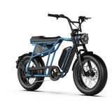 20" Fat Tyre Electric Bike for Adults, 48V 15.6Ah Battery, 250W Motor, 7-Speed E-Bike with Dual Suspension