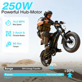 16" Fat Tyre Electric Bike for Adults, 48V 13.5Ah Removable Battery, 250W Motor, Dual Suspension E-Bike with LCD Display