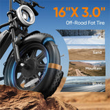 16" Fat Tyre Electric Bike, 48V 13Ah Removable Battery, 250W Motor, Dual Suspension E-Bike with Storage Box & LCD Display
